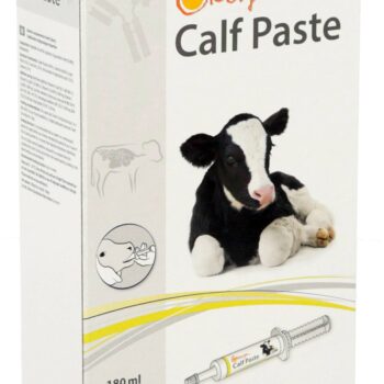 Suplement dla cieląt Globigen Calf Paste, 6 x 30 ml, EW Nutrition