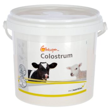 Dodatek do siary Globigen Colostrum, 1 kg, EW Nutrition