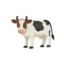 hodowla bydla